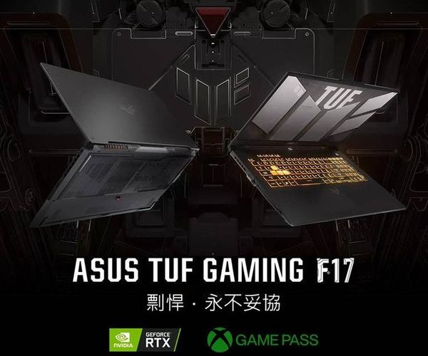 感謝豐原_唐小姐 指名『平順科技』購買Asus 電競筆電乙台